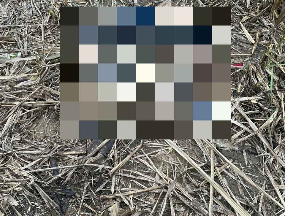 The body of Ms. H.T.T was found to be in a state of decomposition. Photo: Bao Trung