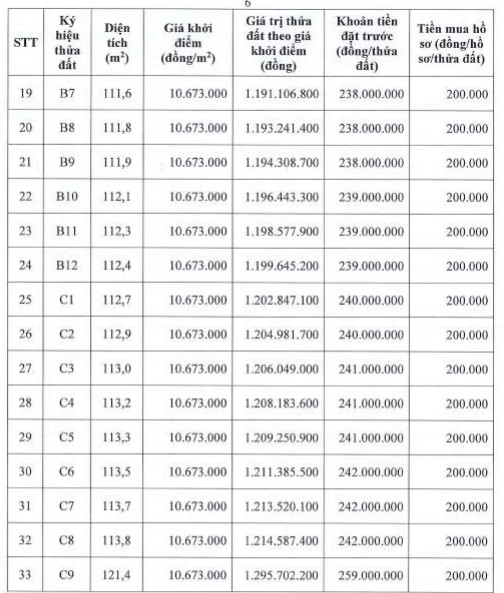 Thong tin cac thua dat trong phien dau gia ngay 29.3. Anh chup man hinh