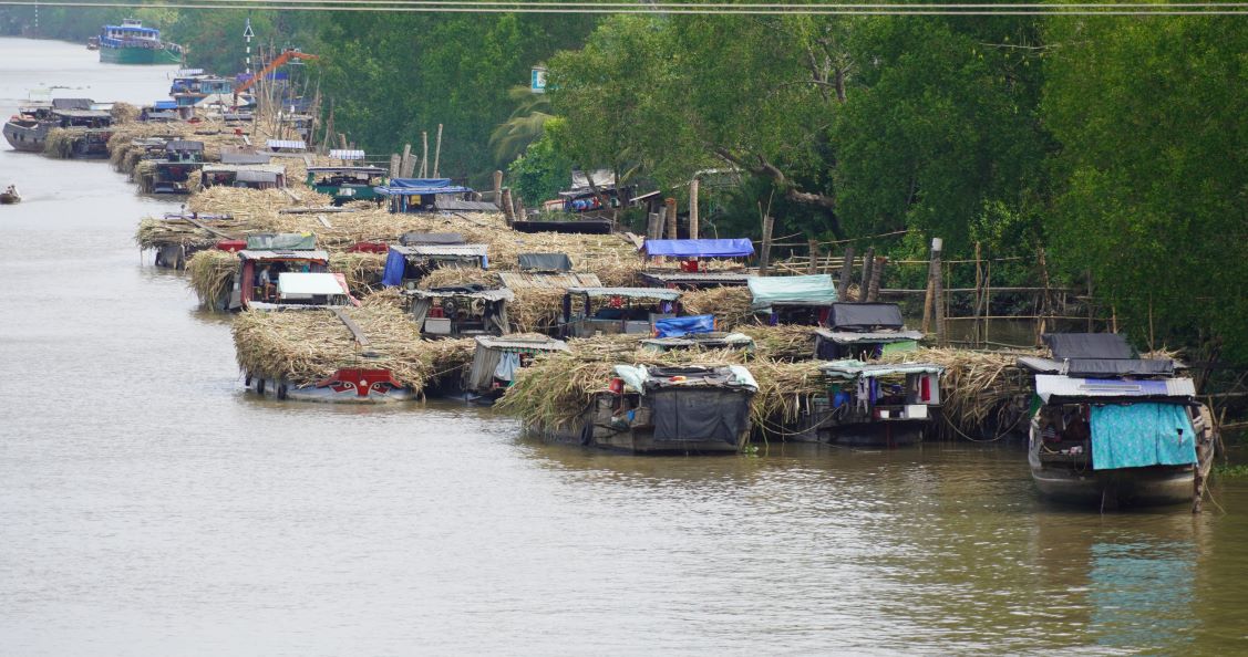 Cac ghe cho mia tap ket cho len nha may. Anh: Phuong Anh