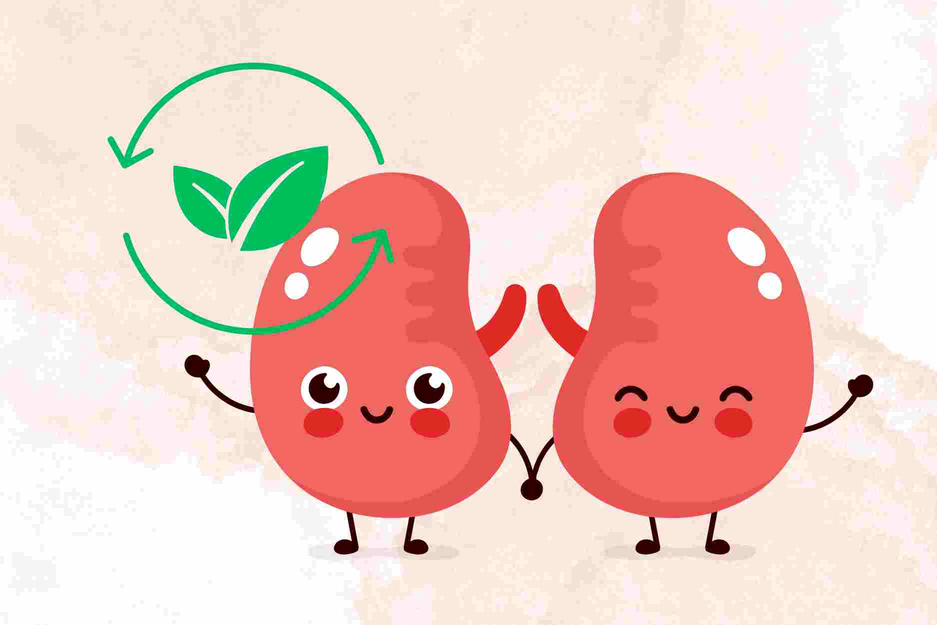 5 warning signs of kidney overload and need to detoxify. Graphics: Dinh Dinh