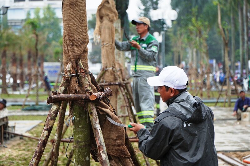 Cong nhan doi mua cham soc he thong cay xanh tai quang truong Pham Van Dong. Anh: Vien Nguyen.