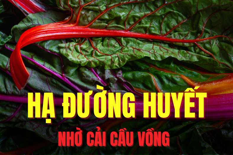 Soursop is one of the foods that can effectively support lowering blood sugar. Graphics: Tra My