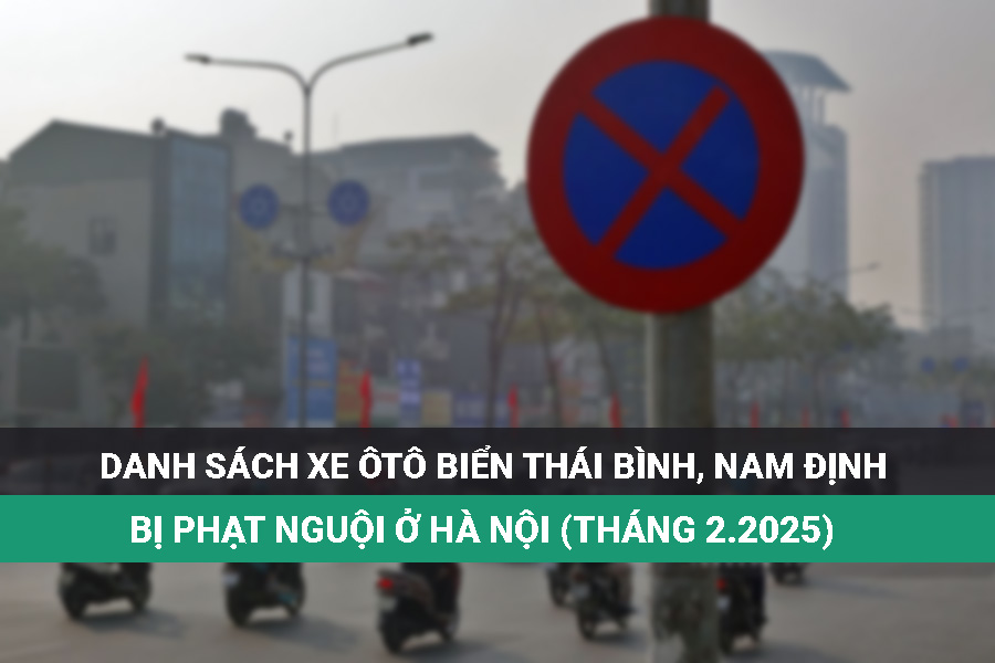 Thai Binh and Nam Dinh seaports have just been fined in Hanoi