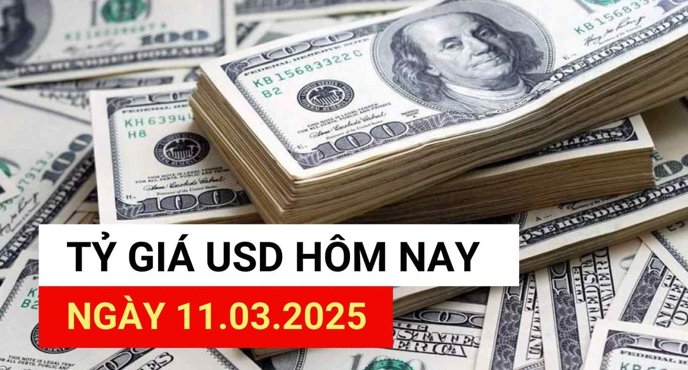 USD exchange rate today 11.3.2025.