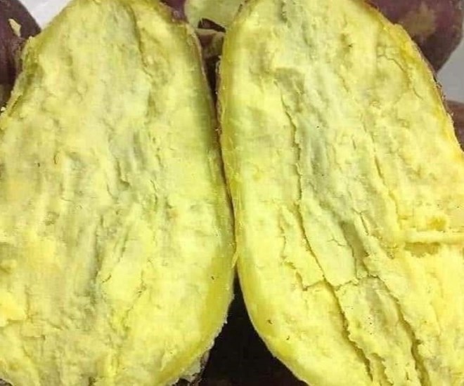 Instead of eating white rice - a type of starch that easily increases belly fat, you can choose oats, sweet potatoes... to support the process of reducing belly fat scientifically. Photo: Kieu Vu.