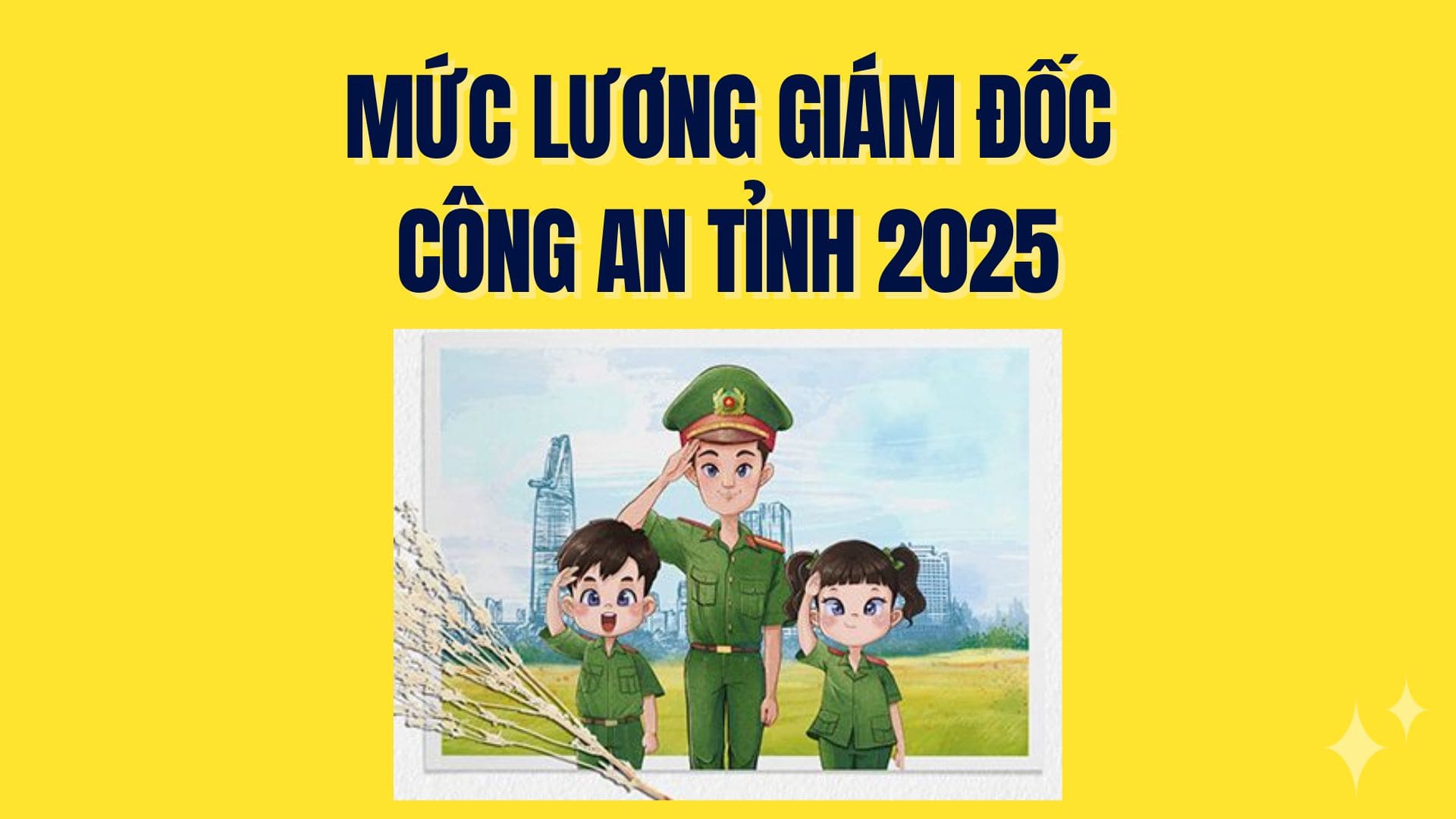 Salary details for the Provincial Police Director. Graphics: Tra My