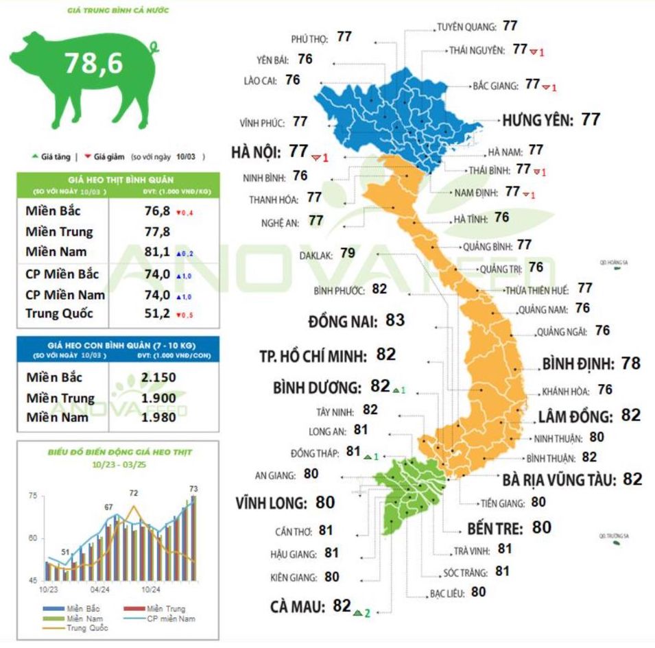 Cap nhat gia lon toan quoc ngay 11.3.2025. Nguon: Anova Feed