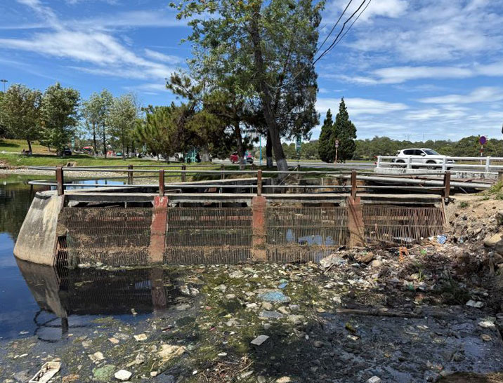 The situation of waste and dirty water pollutes the environment in the Xuan Huong Lake area (Da Lat). Photo: Lam Hong