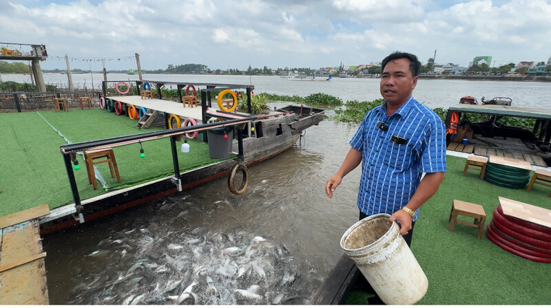 The man spends more than 500,000 VND/day raising fish naturally. Photo: Hoang Loc