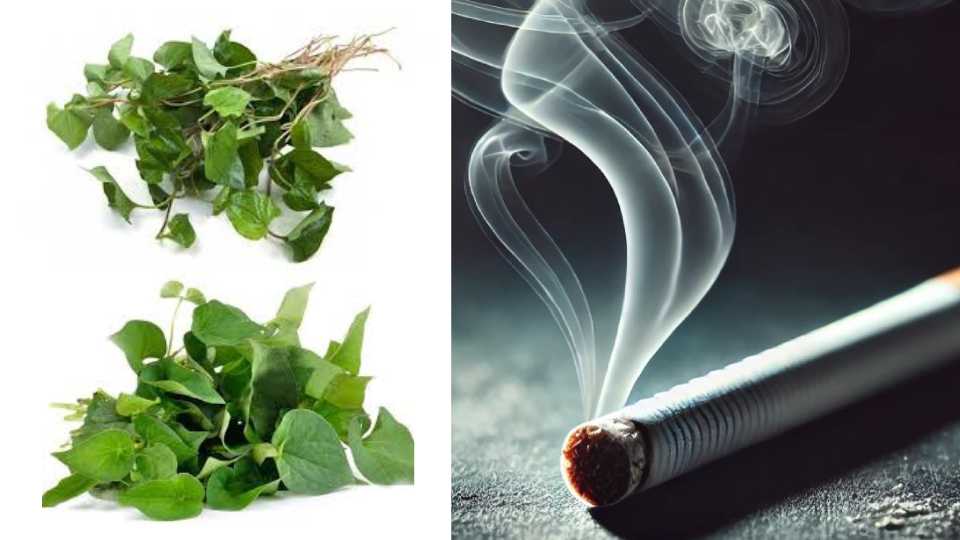 Vegetables that help smokers detoxify their lungs. Illustrative photo designed by AI