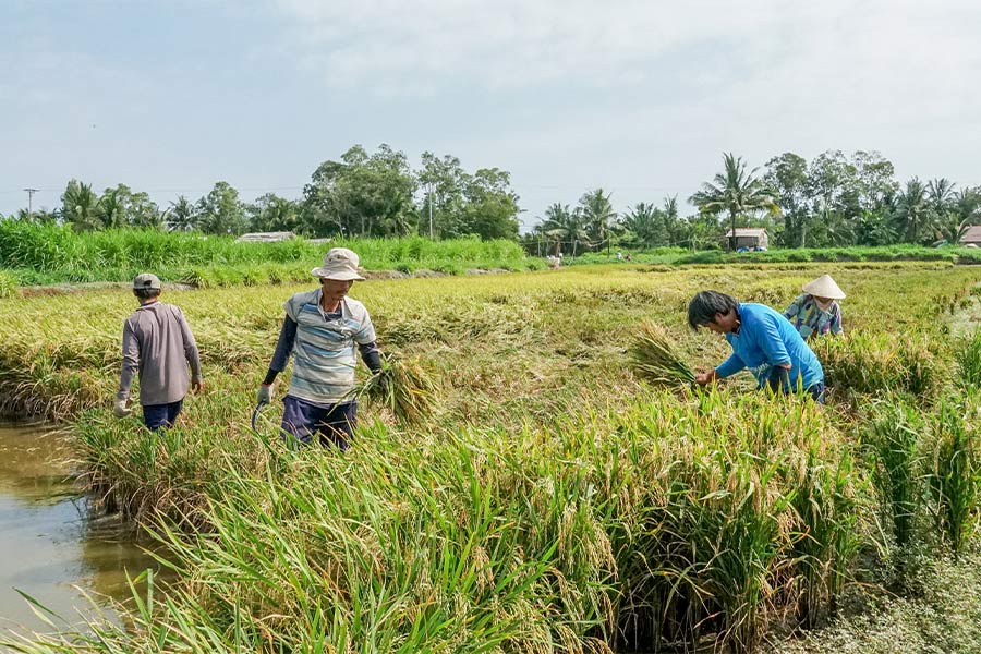 Factors driving up agricultural land prices