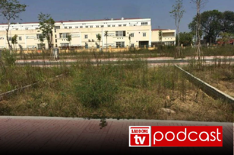 Morning news 9.3: Suburban land in Hanoi waiting for buyers