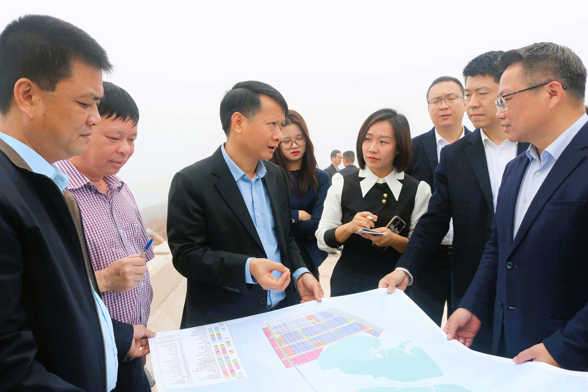 The survey team at Van Ninh International Port, Mong Cai City. Photo: Mong Cai Portal