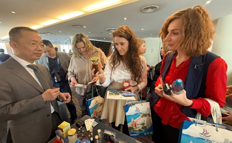 Delegates learn about products at the tourism promotion conference of Khanh Hoa province in the Russian Federation. Photo: Nguyen Phat
