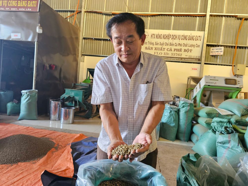 Dak Lak coffee conquers the world market. Photo: Thanh Quynh