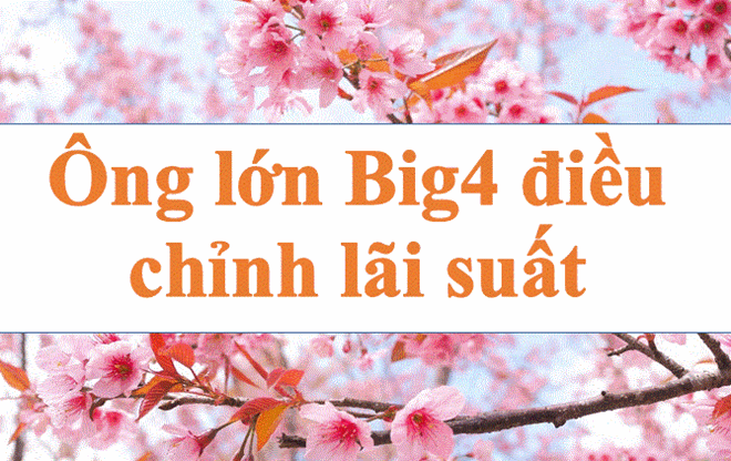 Lãi suất ngân hàng hôm nay 12.3: Ông lớn Big4 điều chỉnh