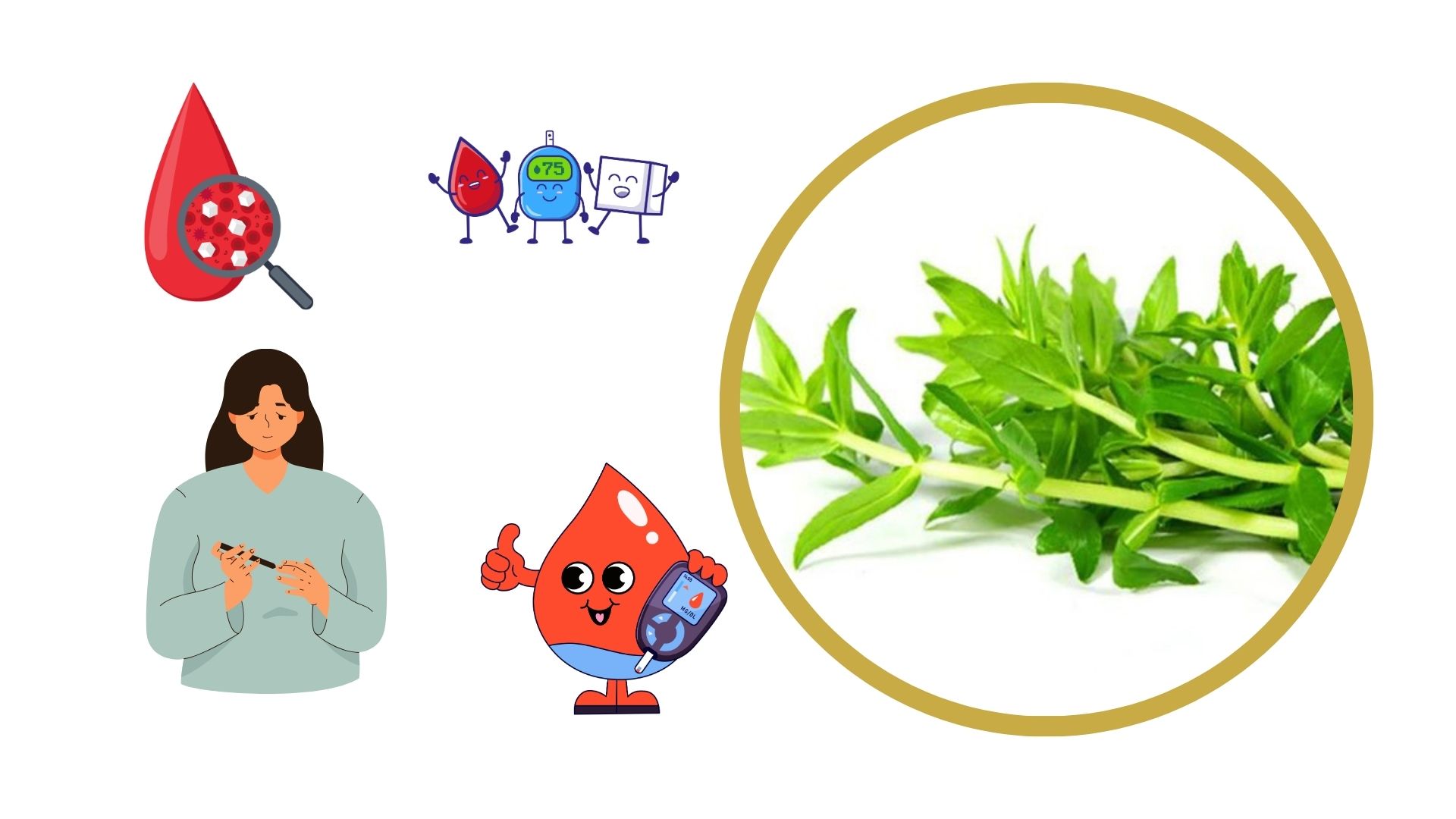 Gastroenterology, diuretic and blood sugar control