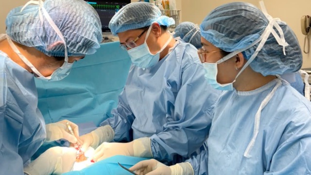 Nuck tube defecation in young children requires early intervention or it will affect reproductive function. Photo: MINH TAM