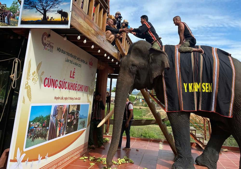 Elephant worship ceremony in Lak district. Photo: Minh Hue