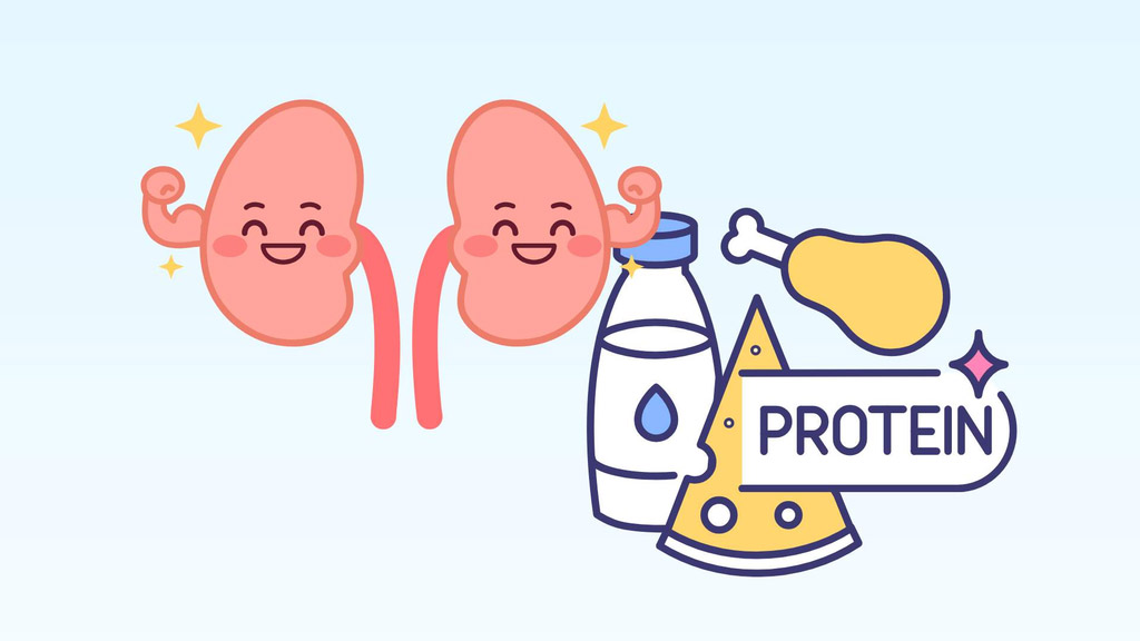 2 types of protein-rich foods that should not be ignored for healthy kidneys. Graphics: Dinh Dinh