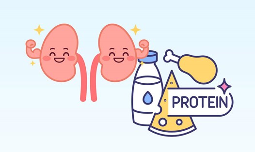 2 loại thực phẩm giàu protein không nên bỏ qua để thận khỏe. Đồ hoạ: Đinh Đinh