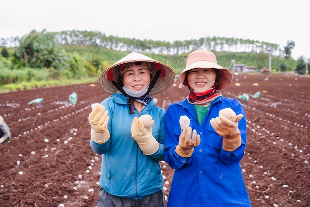 Du an trong khoai tay da lan toa den cong dong. Anh An Doan