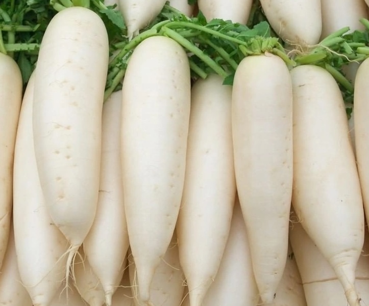 A diet rich in plant-based protein such as radishes will effectively support reducing uric acid. Photo: Kieu Vu