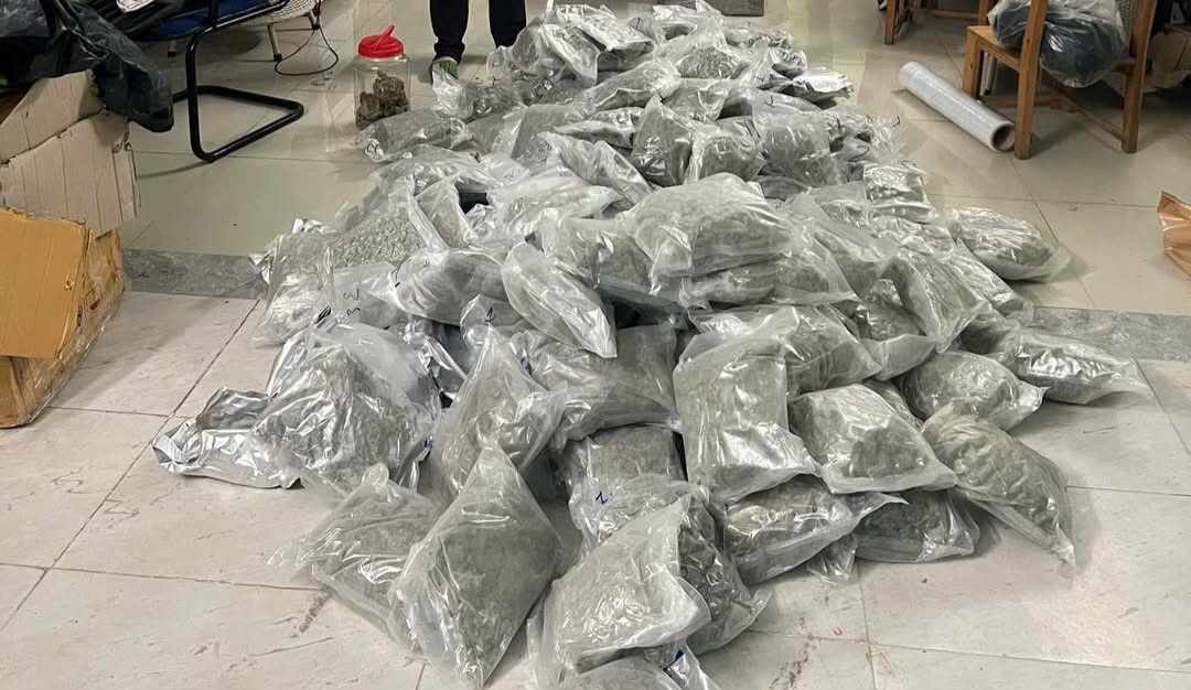 Lượng lớn ma túy được cơ quan chức năng phát hiện, thu giữ. Ảnh: Công an Tuyên Quang