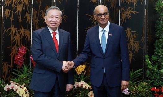 Tổng Bí thư Tô Lâm hội kiến Tổng thống Singapore Tharman Shanmugaratnam. Ảnh: TTXVN