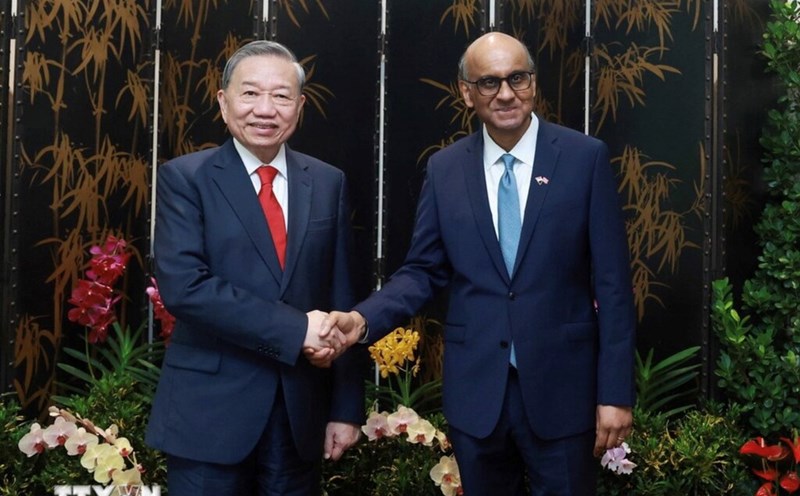 General Secretary To Lam met with Singaporean President Tharman Shanmugaratnam. Photo: VNA