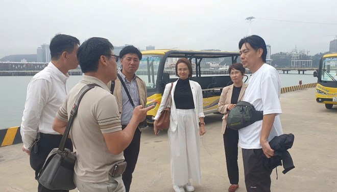 More than 1,700 tourists chartered a cruise ship from Japan to Ha Long Bay