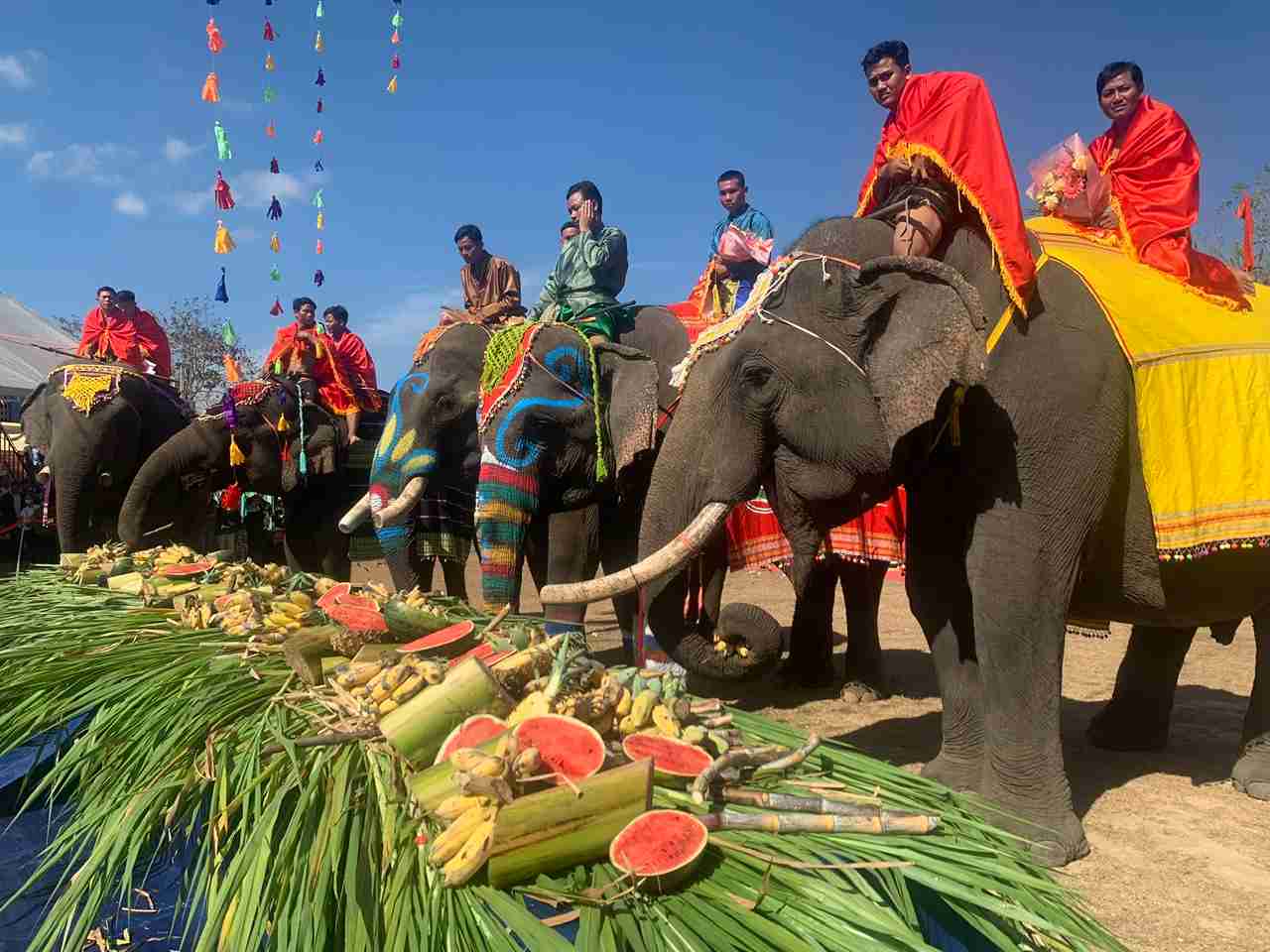The Buon Don Elephant Association is organized methodically and colorfully. Photo: Bao Trung