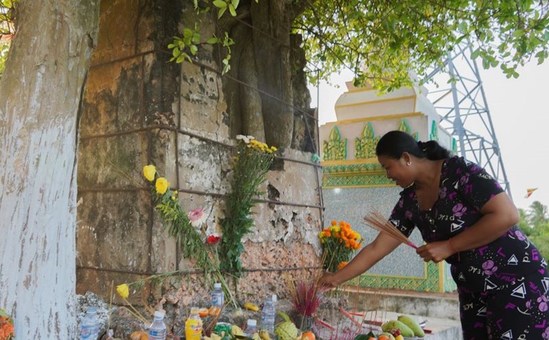 For the Khmer people in Soc Trang, the Sea of Power Festival is an occasion to express gratitude to the ocean that has given them many shrimp and fish.