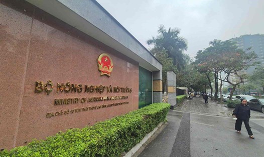 Gần 1.000 nhân sự Bộ Nông nghiệp và Môi trường xin nghỉ việc, quá trình tinh gọn bộ máy đang được đẩy mạnh. Ảnh: Phan Anh