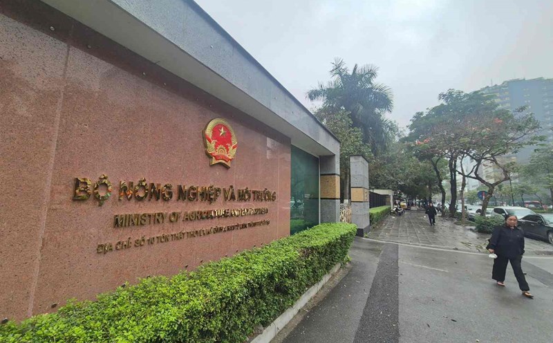 Nearly 1,000 personnel of the Ministry of Agriculture and Environment have quit their jobs, the process of streamlining the apparatus is being accelerated. Photo: Phan Anh