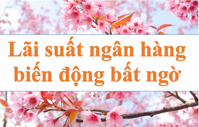 Lãi suất ngân hàng hôm nay 12.3: Biến động bất ngờ