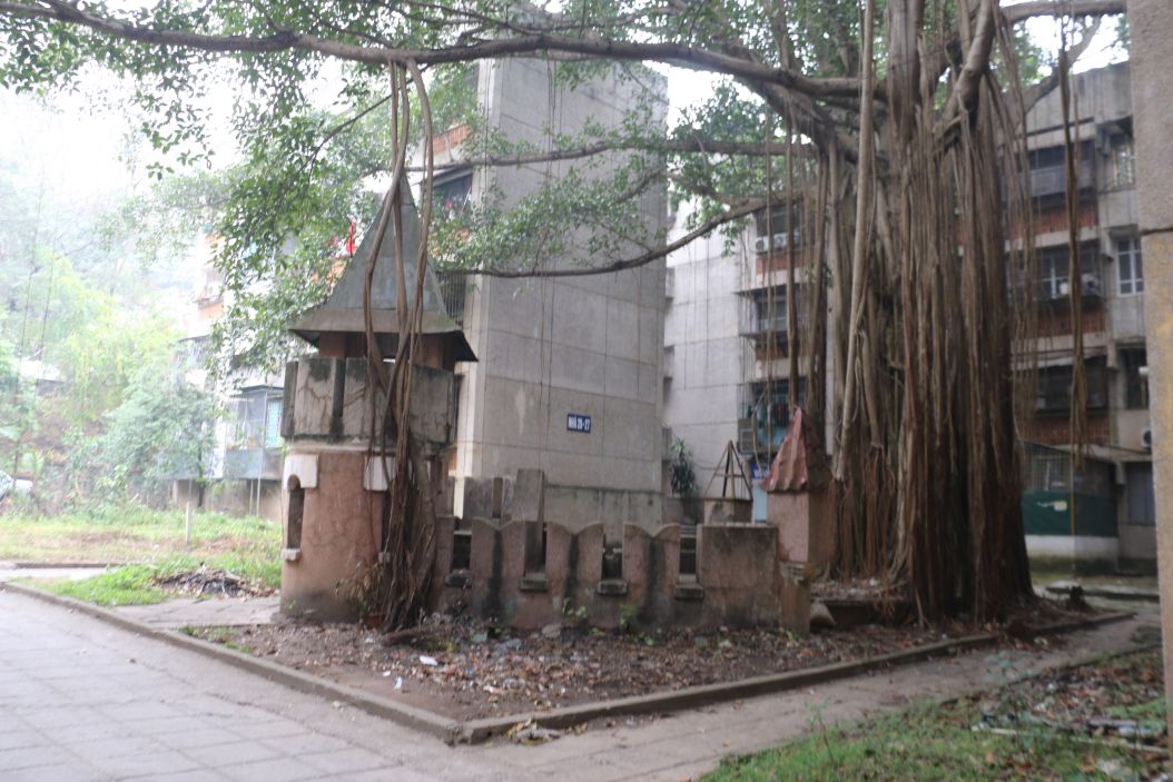 The Expert's Area - a time of nostalgia.