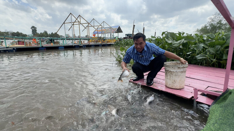 A herd of fish suddenly appeared naturally along the riverbank in Vinh Long. Photo: Hoang Loc
