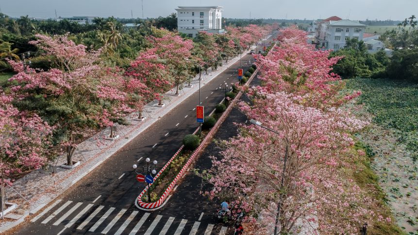 Thang Ba ve, tuyen duong dan vao trung tam hanh chinh huyen Chau Thanh, tinh Soc Trang tro nen ruc ro hon bao gio het. Do la luc hoa ken hong bat dau no ro