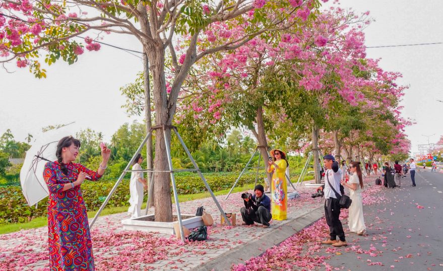 Dong dao qua khach tu khap noi den tham quan, chiem nguong, chup anh duoi tan ken hong. Anh: Phuong Anh