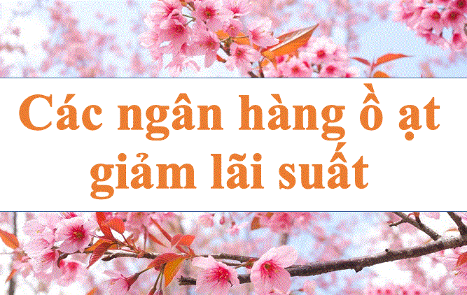 Banks are massively cutting interest rates. Photo: Ha Vy