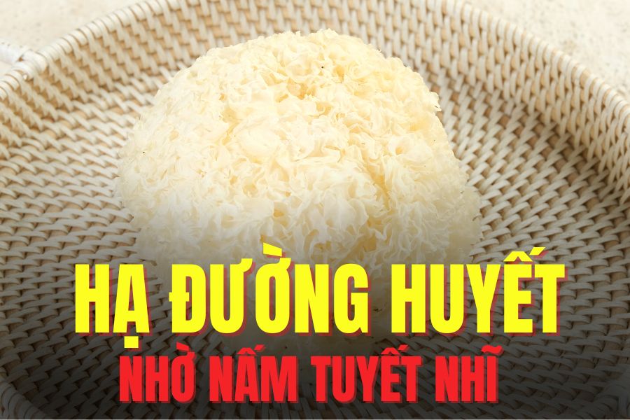 The effective effect of snow leopard in helping to lower blood sugar. Graphics: Tra My