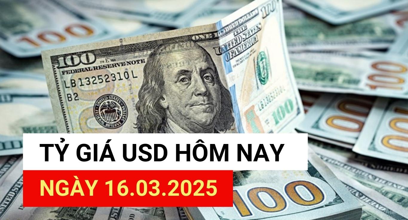 USD exchange rate today 16.3