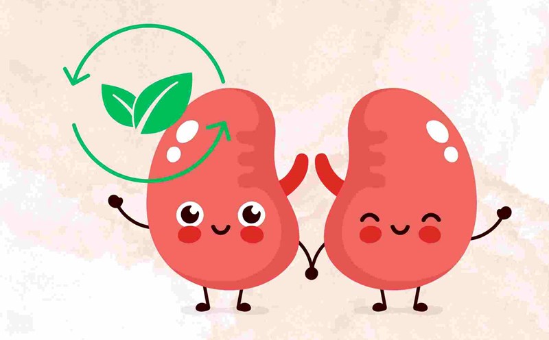 Detoxify your kidneys quickly with homemade drinks