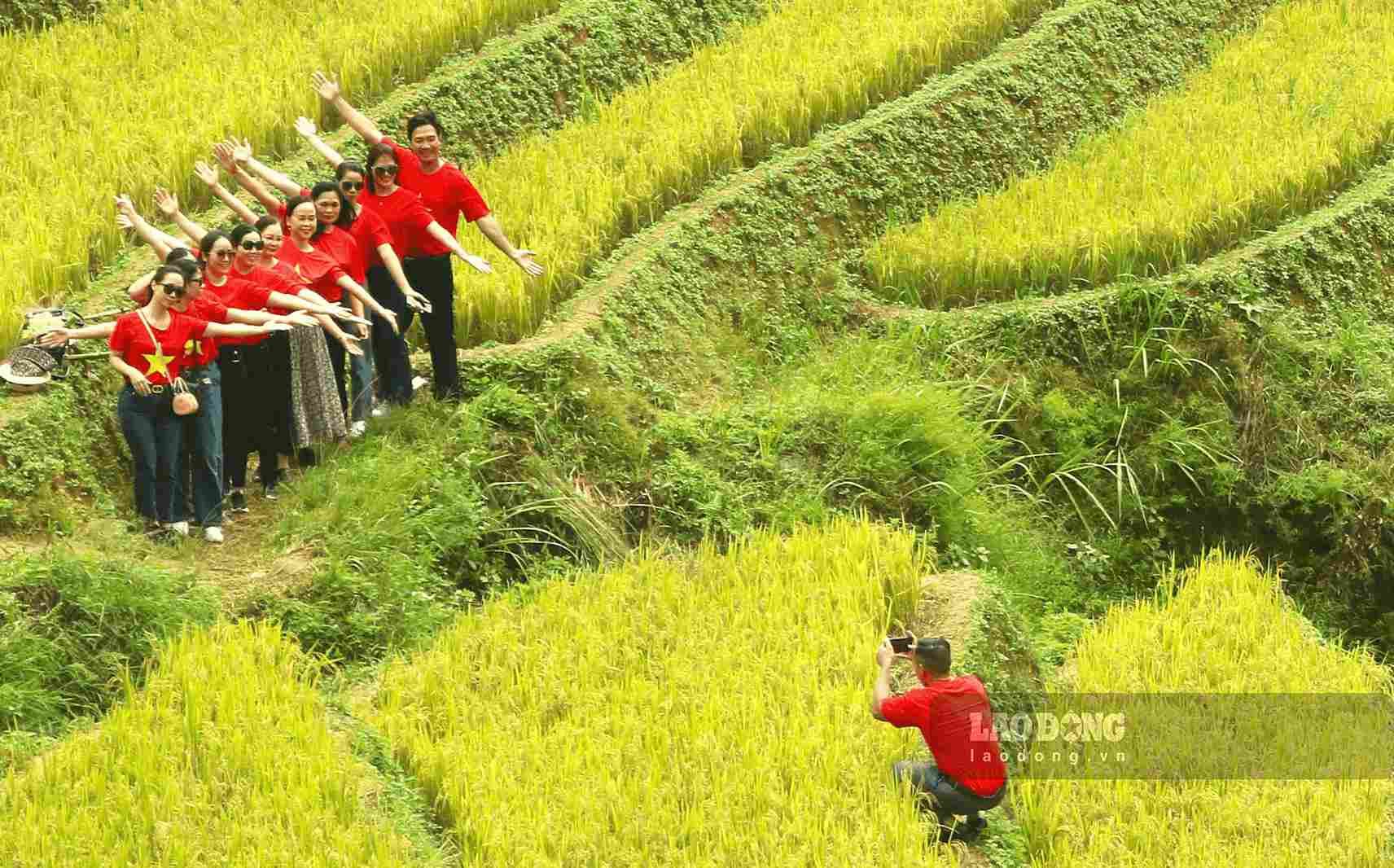 Farmers have more side jobs, increase income on agricultural land