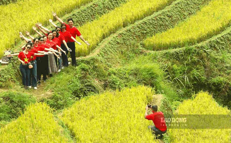 Farmers have more side jobs, increase income on agricultural land