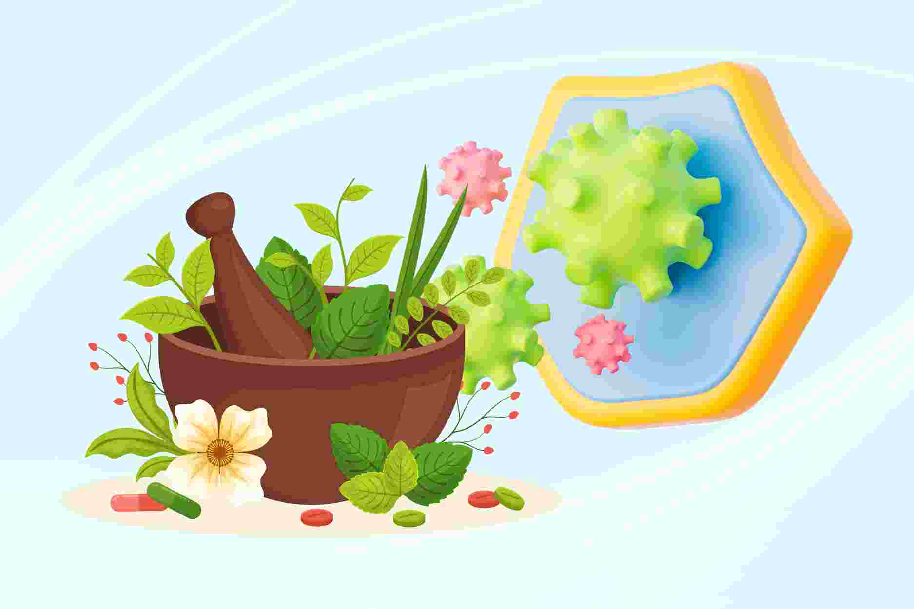 3 medicinal herbs containing effective natural antibacterial active ingredients