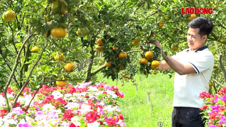 pink tangerine gardens are ready to welcome guests on April 30