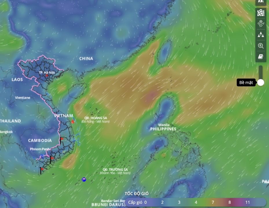 Cold air is forecast to continue to cause bad weather in many sea areas of the East Sea. above is an image of the sea wind direction updated at 3:00 p.m. on March 17. Photo: Vietnam Disaster Monitoring System