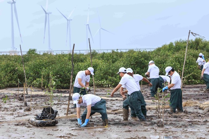 Planting activities are carried out in coastal protection forests of Soc Trang province. Photo: Provided by the Organizing Committee